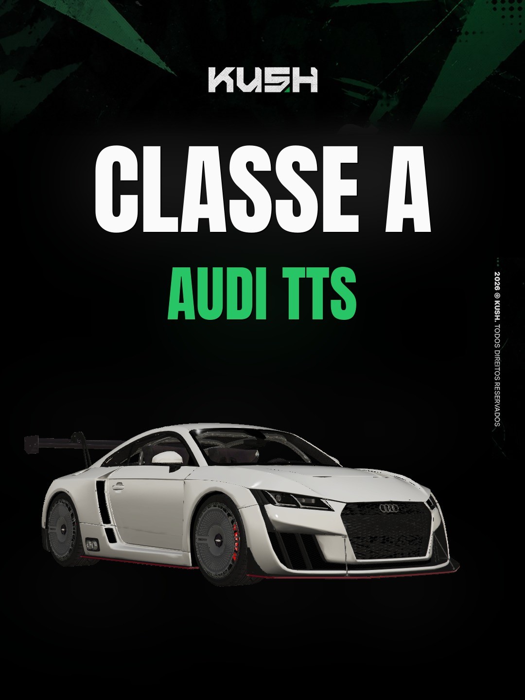 Audi TTS - 1 dia