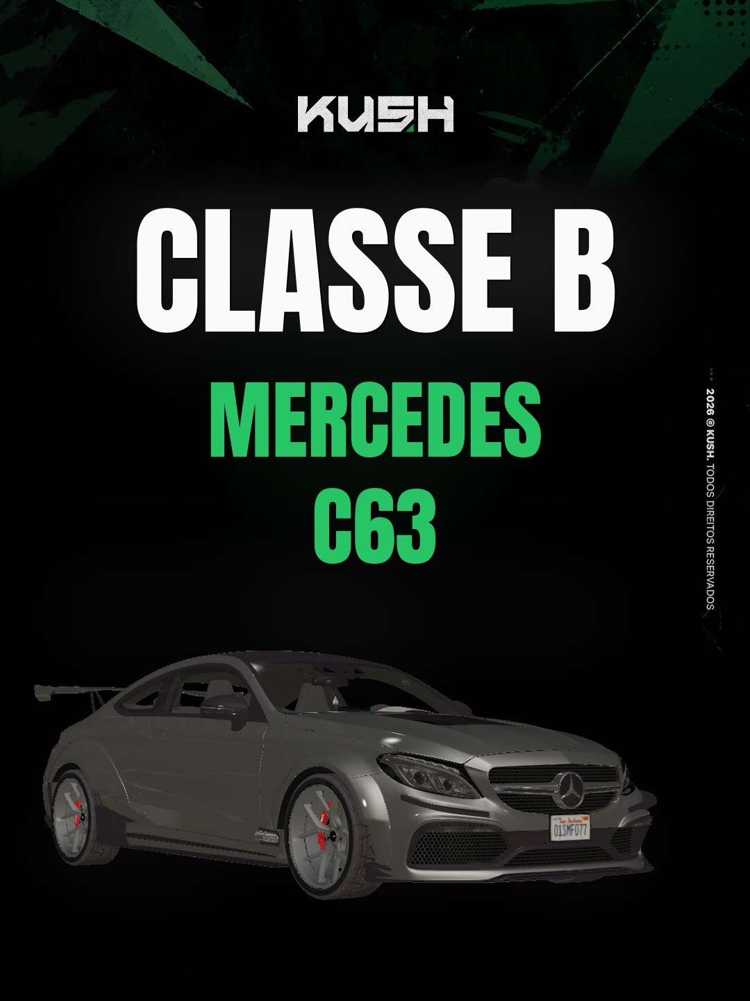 Mercedes C63 - 1 dia