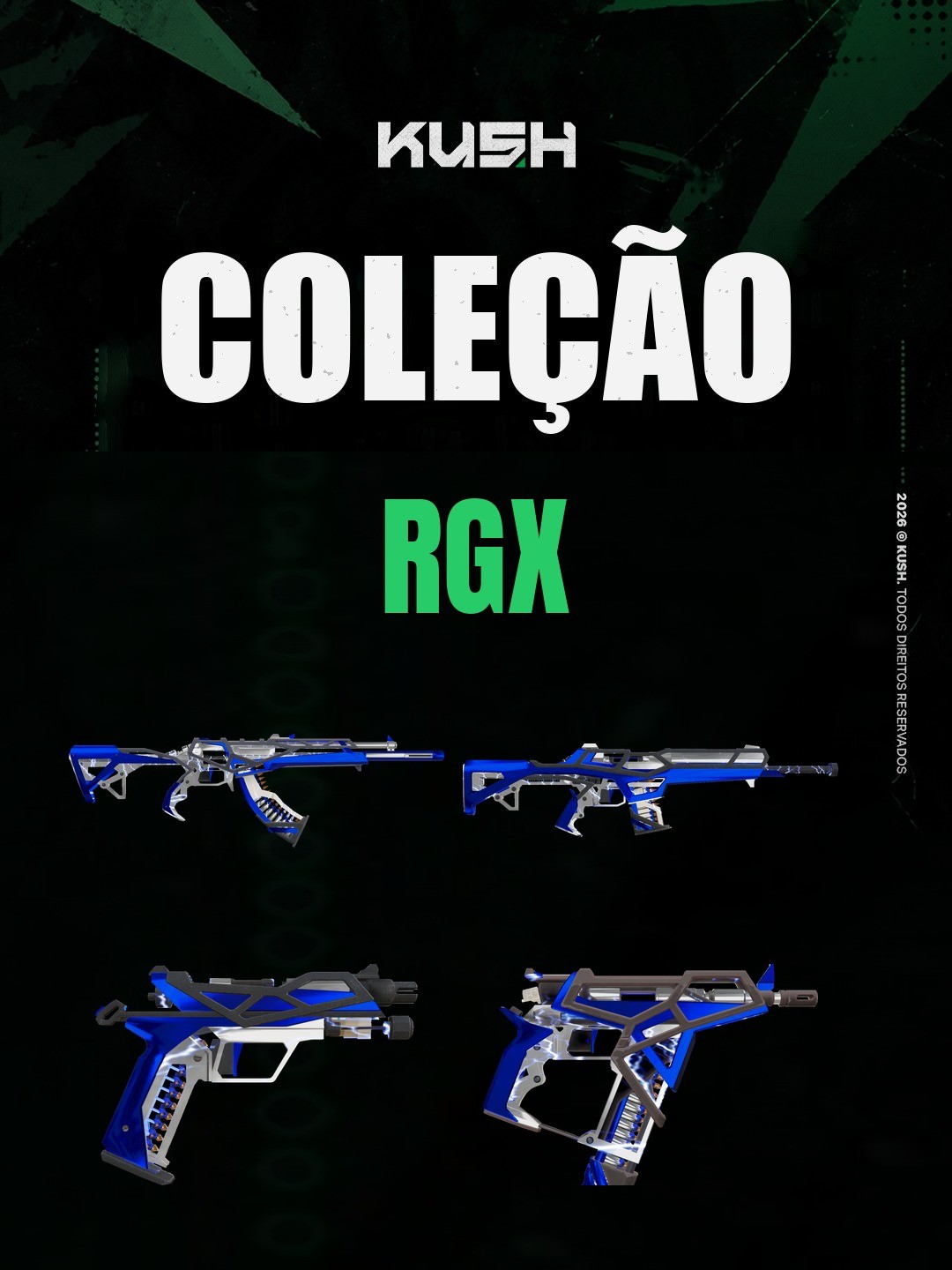 RGX - 1 dia
