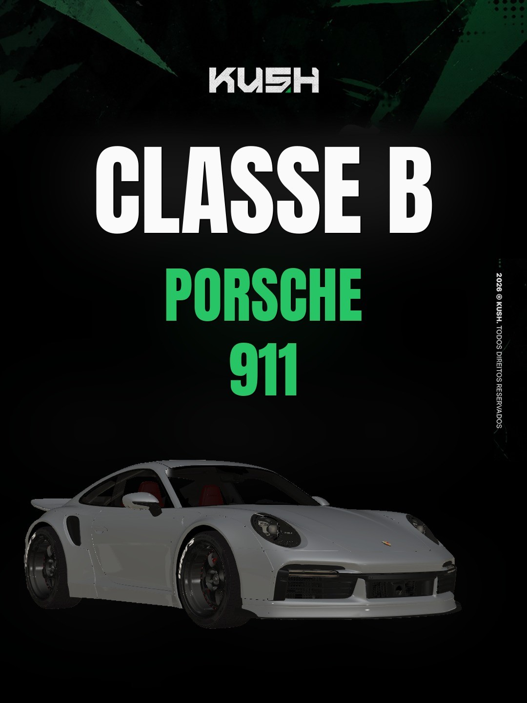Porsche 911 - 1 dia